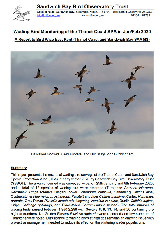 Thanet Wader Survey 2020